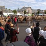 Fête de l'Aubrac