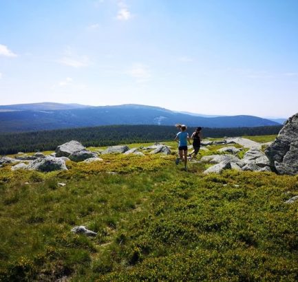 Lozère trail nature