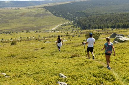 Trail en Lozère @ CG48 - YG